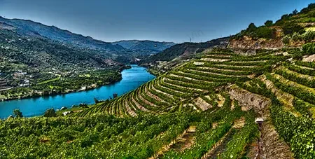 Vignoble Vallee Douro a Dominique Fornage Wine Vin ecole nobilis
