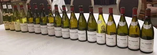 DOMAINE DE LA ROMANEE-CONTI — photo Dominique Fornage